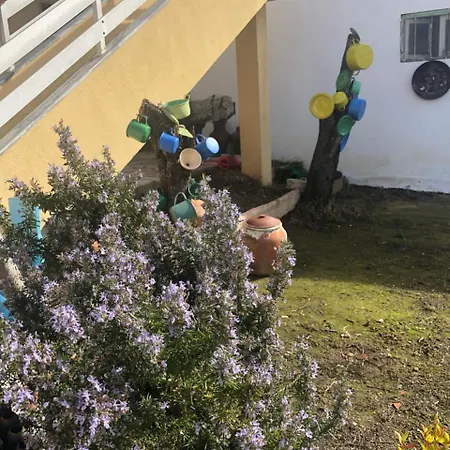 Casas Da Casa Amarela Mafra