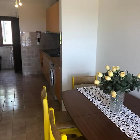 Casas Da Casa Amarela *
